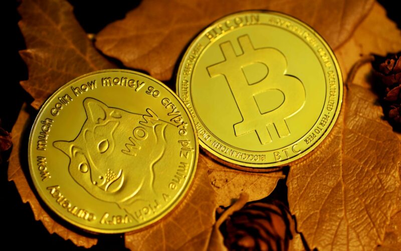 gold round coins on brown dried leaf